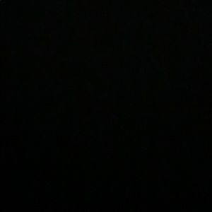 Meet your Posher, Damiano